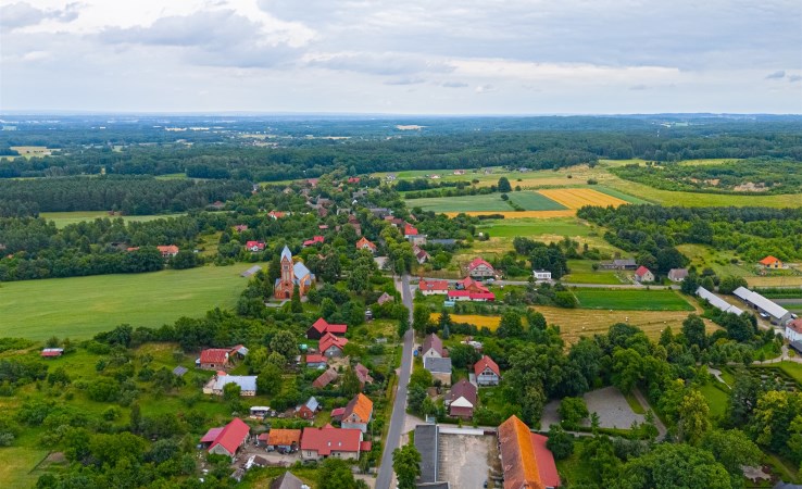 lokal na sprzedaż - Oborniki Śląskie (gw), Bagno